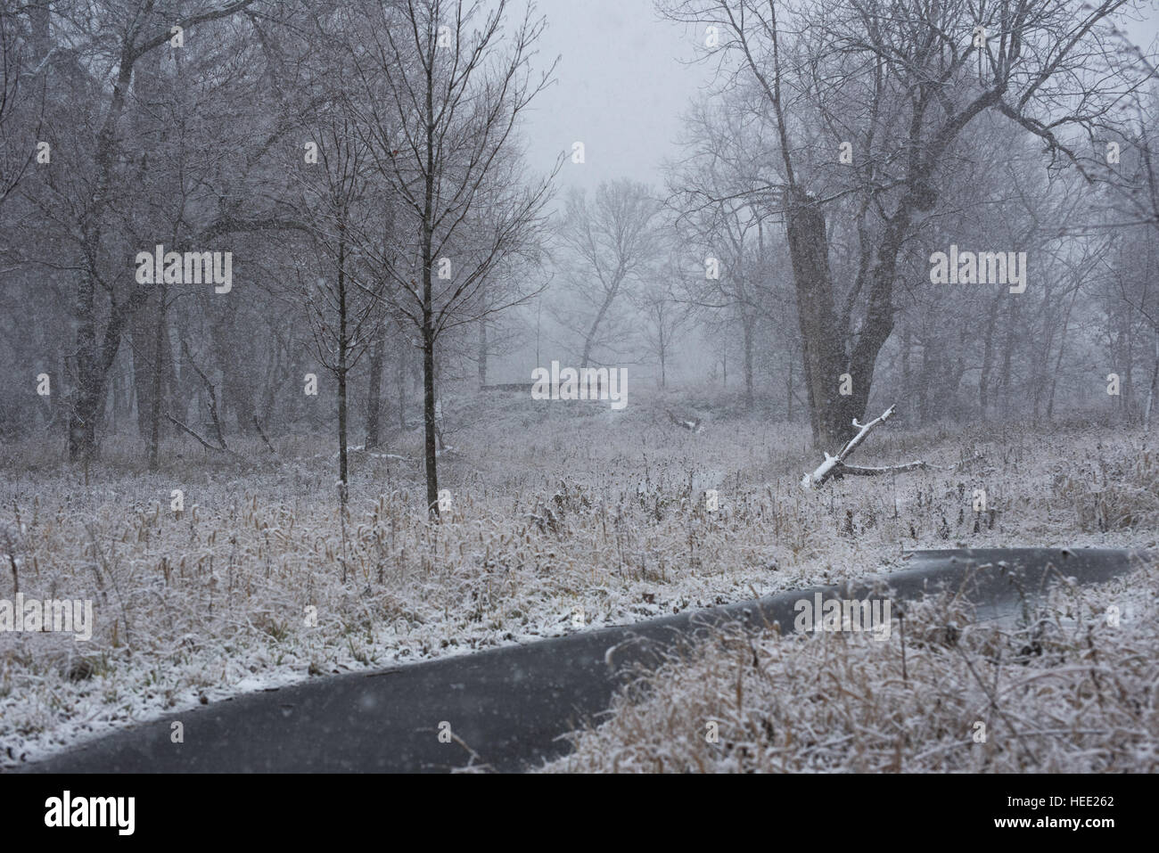 Parco sotto una prima neve Foto Stock