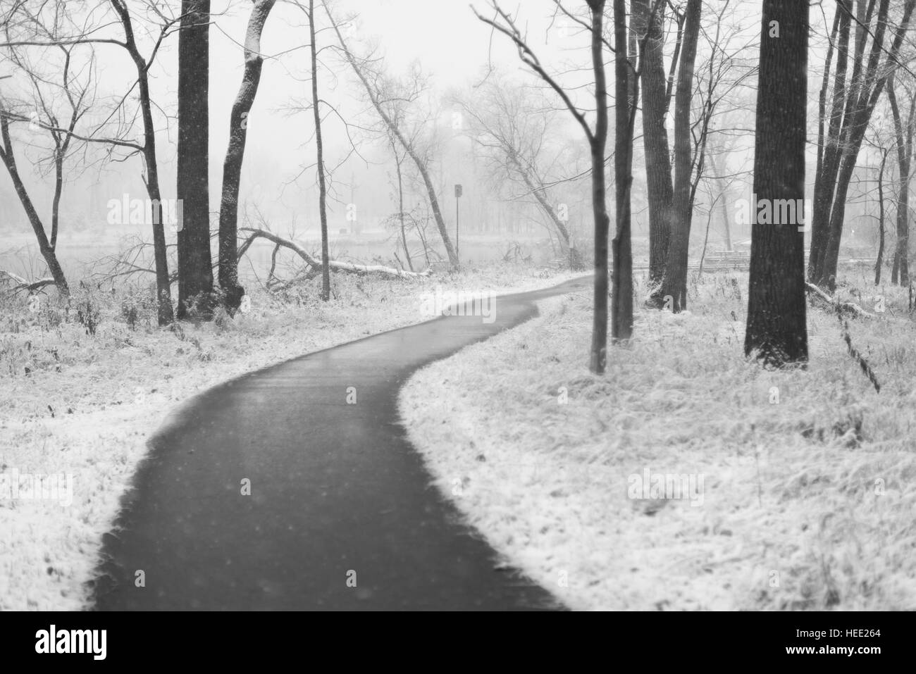 Parco sotto una prima neve Foto Stock