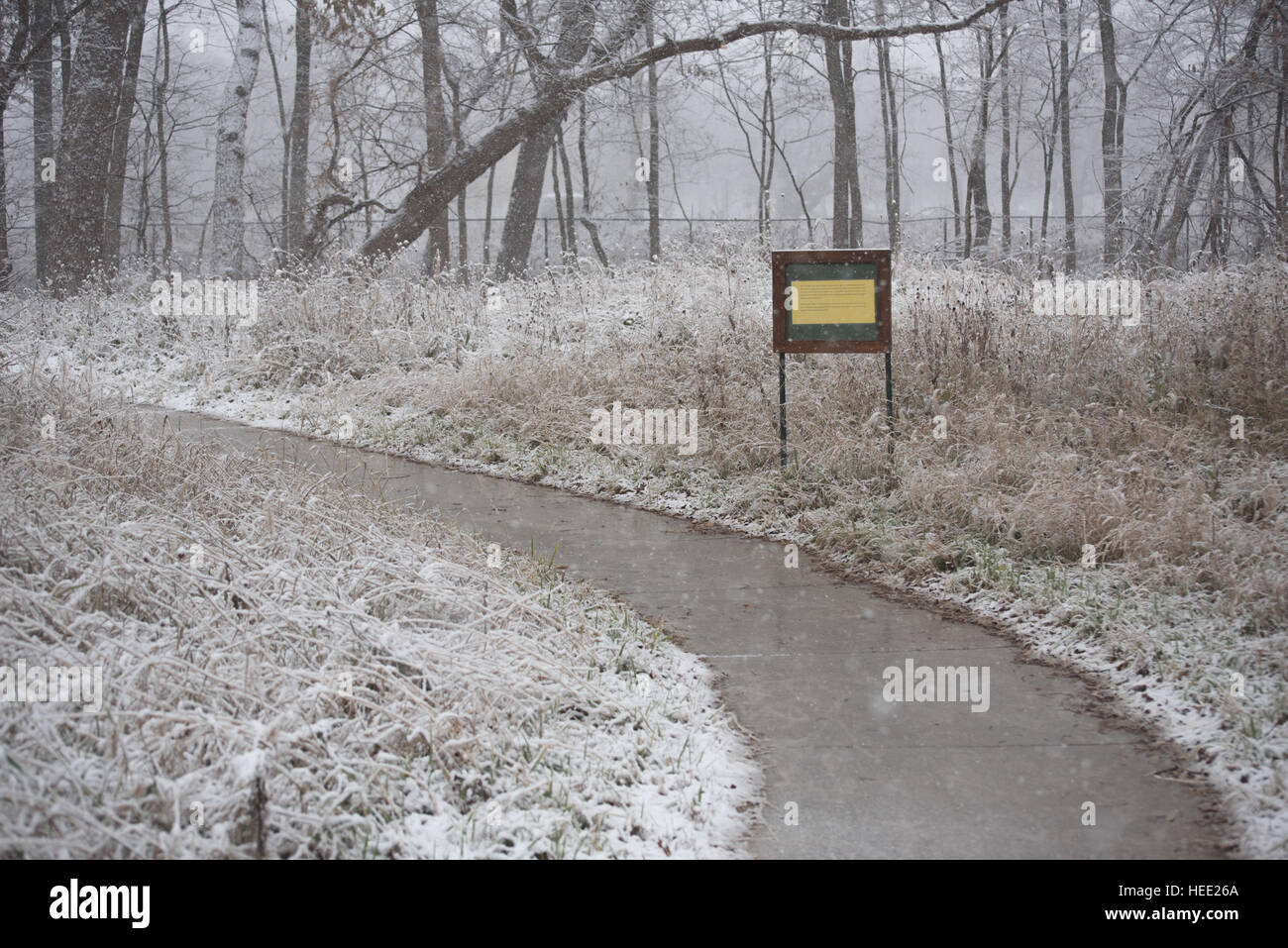 Parco sotto una prima neve Foto Stock