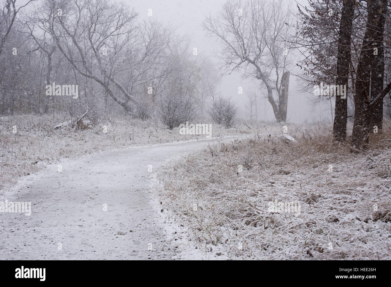 Parco sotto una prima neve Foto Stock