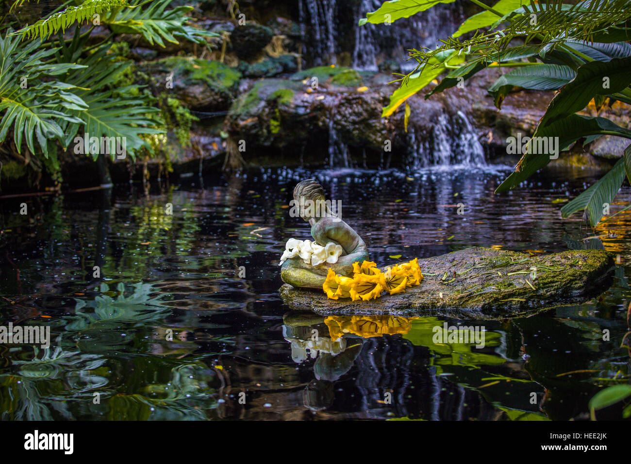 Statua di Koi pond in Giardini Botanici Marie Selby in Sarasota Florida Foto Stock