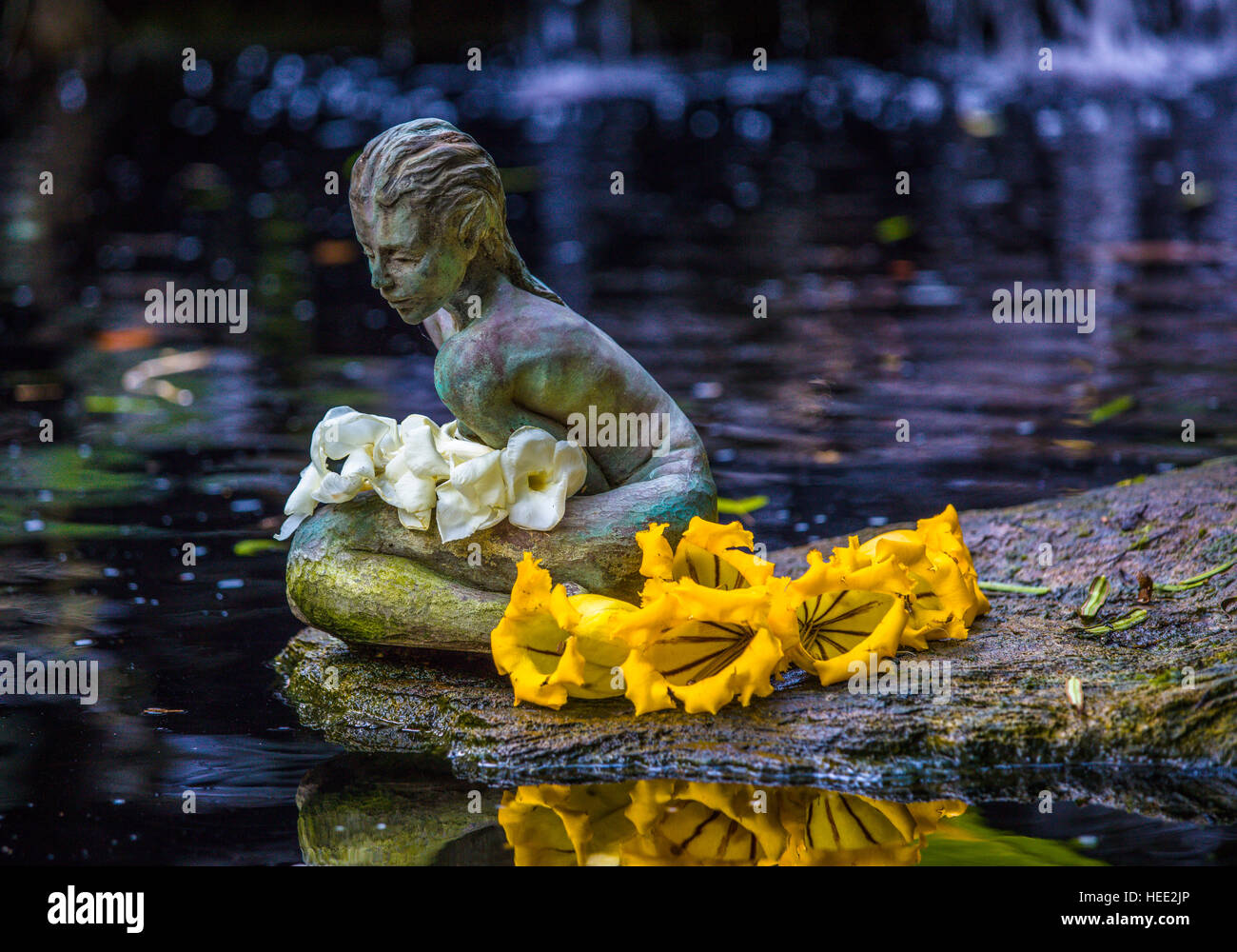 Statua di Koi pond in Giardini Botanici Marie Selby in Sarasota Florida Foto Stock