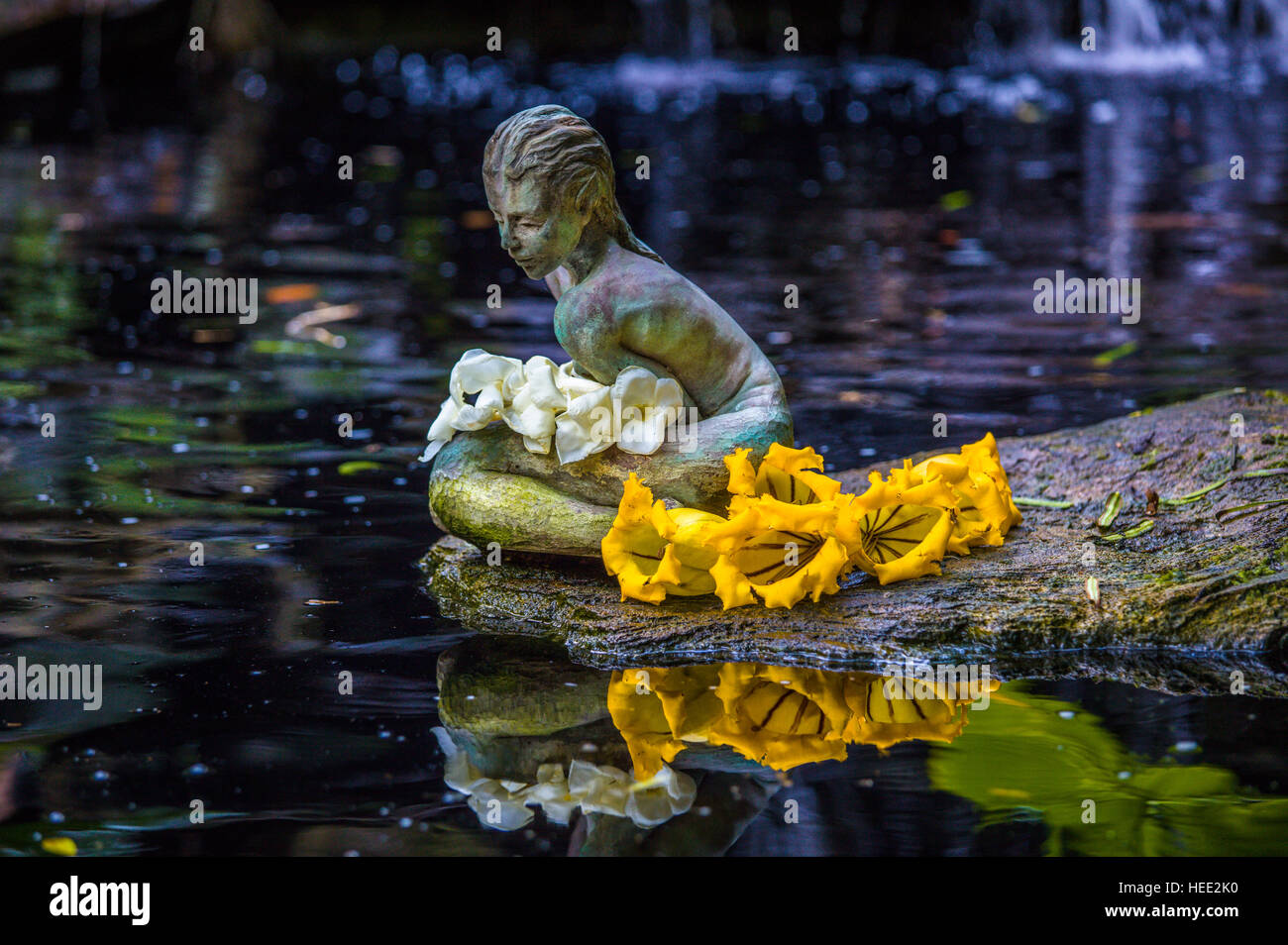 Statua di Koi pond in Giardini Botanici Marie Selby in Sarasota Florida Foto Stock