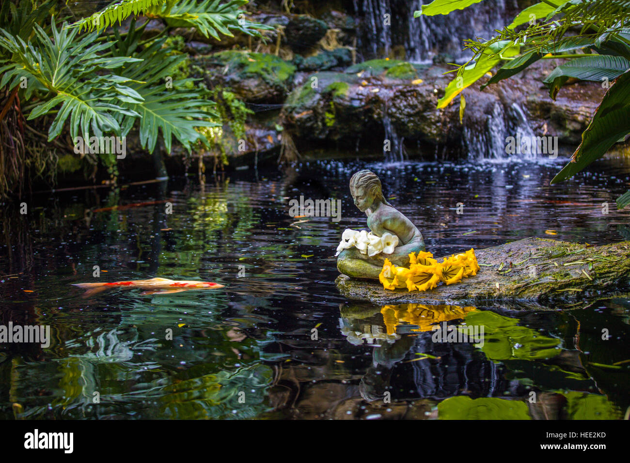 Statua di Koi pond in Giardini Botanici Marie Selby in Sarasota Florida Foto Stock
