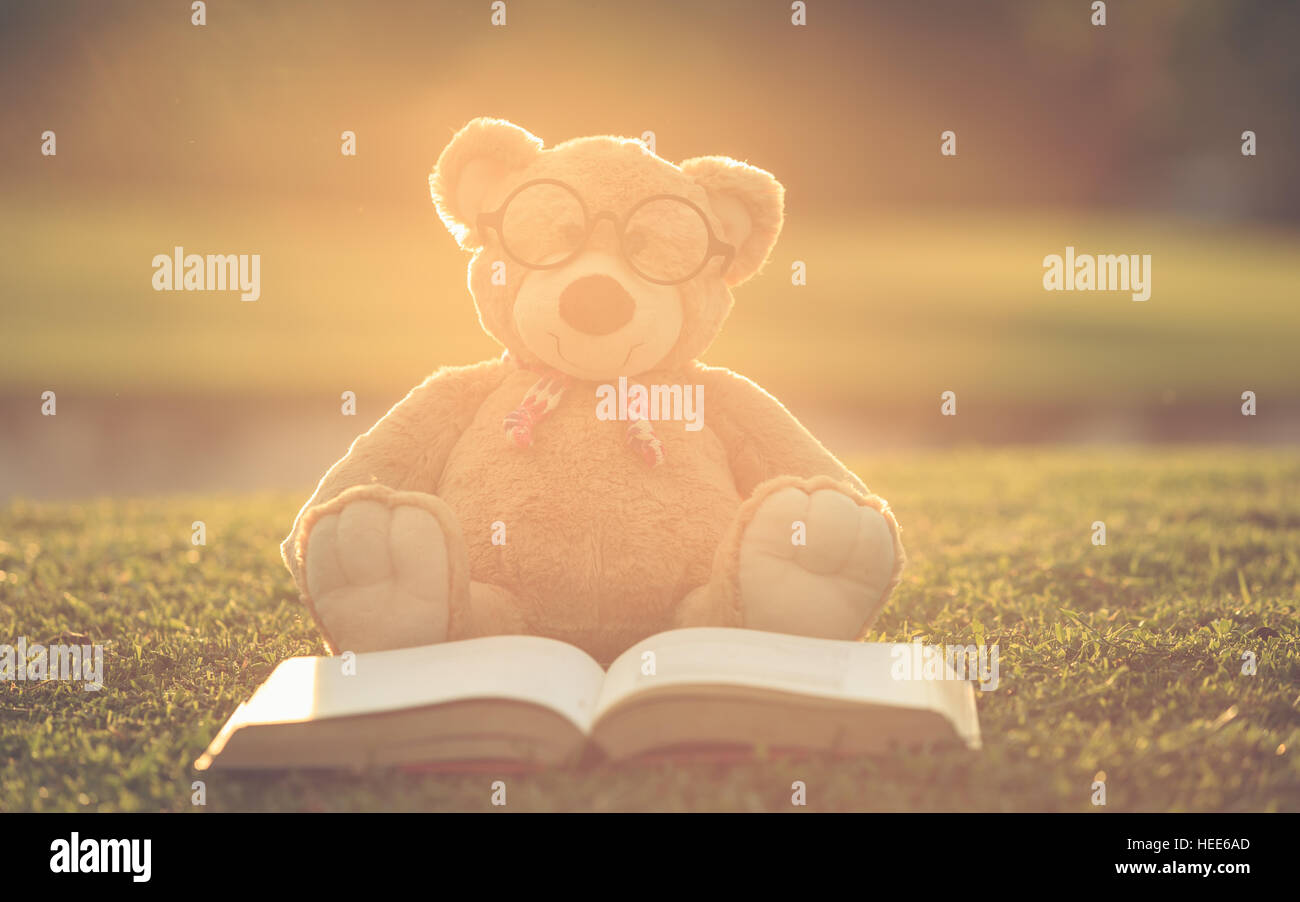 Close up marrone grazioso orsacchiotto indossare occhiali con libro seduti sul campo di erba con lens flare. Caldo effetto tonificante. Retrò e in stile vintage Foto Stock