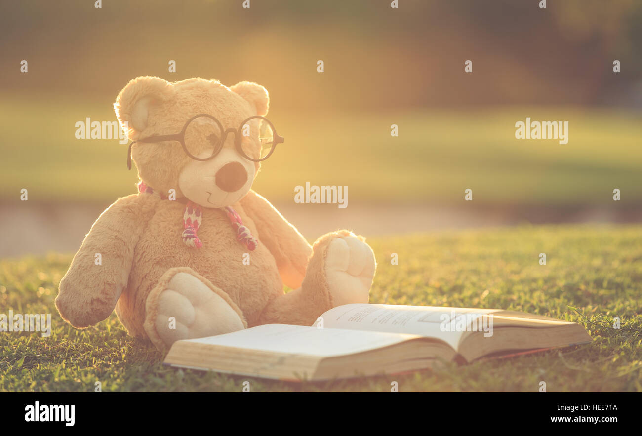 Close up marrone grazioso orsacchiotto indossare occhiali con libro seduti sul campo di erba con lens flare. Caldo effetto tonificante. Retrò e in stile vintage Foto Stock