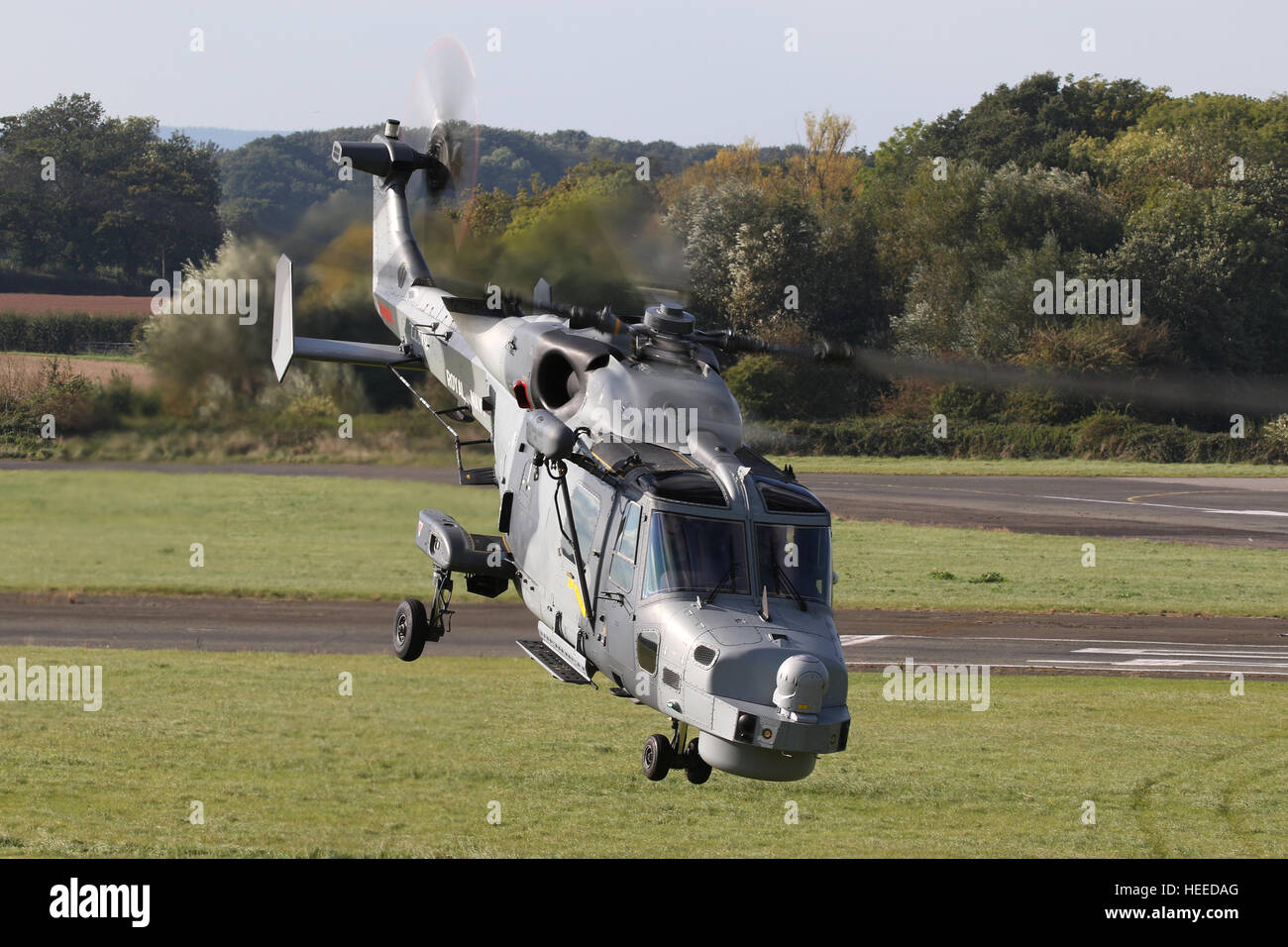 Aw159 lynx wildcat hma2 elicottero zz379 della Royal Navy, la Lynx wildcat è la sostituzione della lynx hma8 in rn servizio. Foto Stock