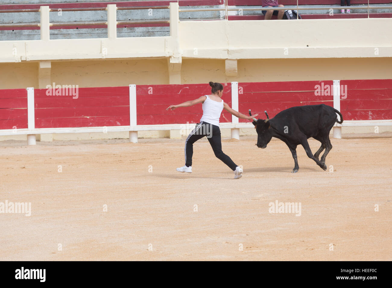Il solo cowgirl e rasateur femmina nella Camargue, Marie Segretier partecipano in una corrida all'interno dell'arena a Saintes Maries De La Mer dur Foto Stock
