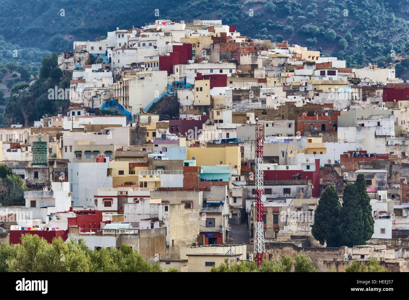 Vista sulla città, Moulay Idriss, Marocco Foto Stock