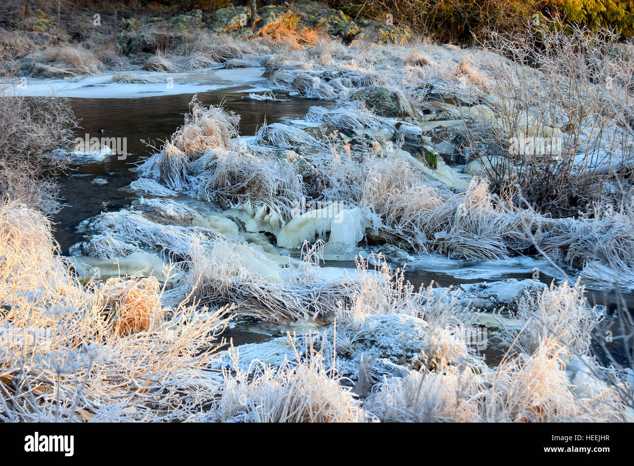 Piccolo fiume d'inverno. Brina in piante e acqua ha una copertura di ghiaccio in alcuni luoghi. Foto Stock