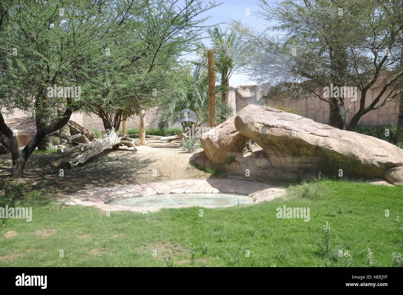 Ain Ain Zoo e fauna Uccelli rettili Giraffe tartarughe serpenti coccodrilli Lion Foto Stock