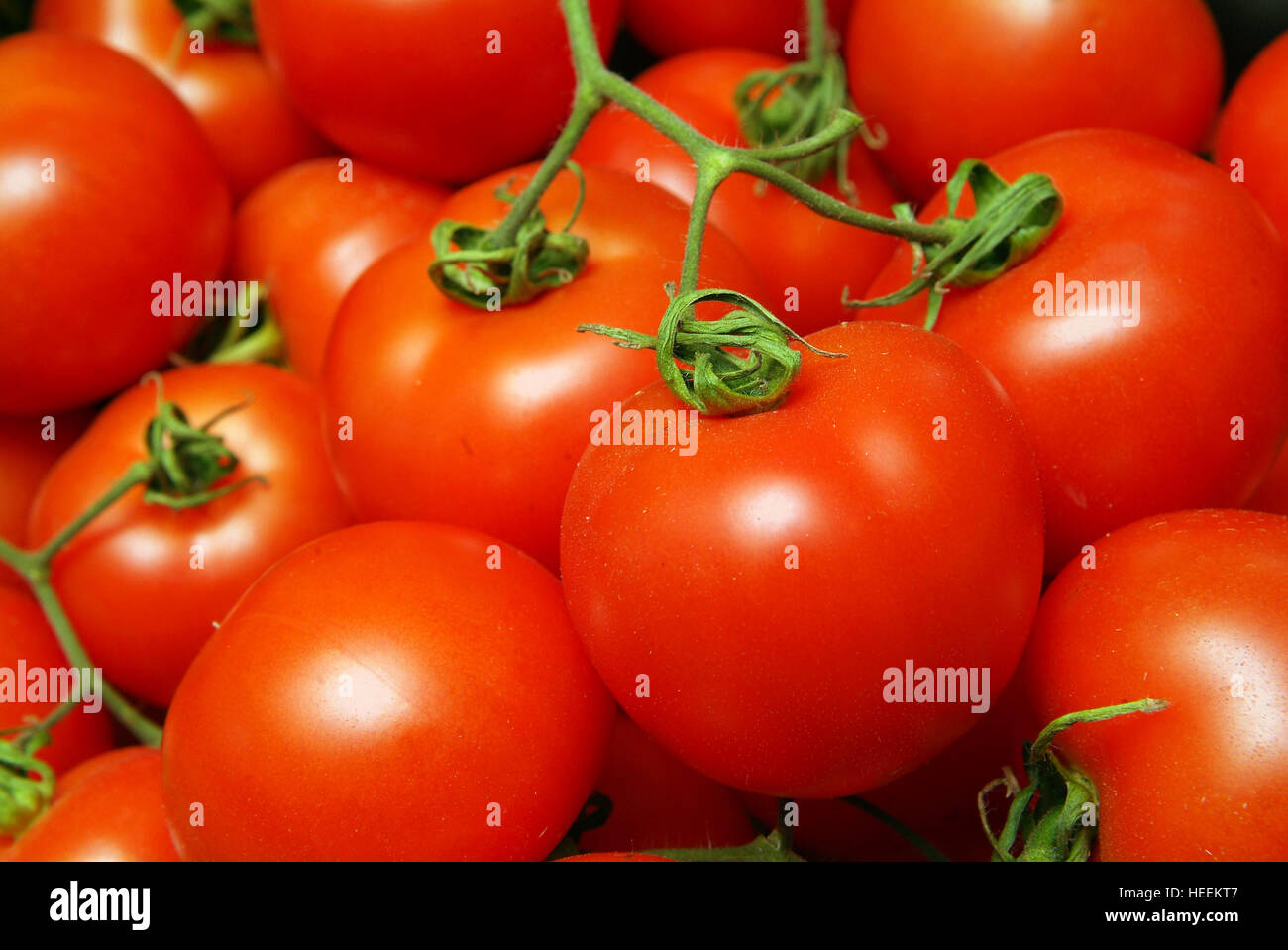 Charlie & Anna Hicks con i loro autonoma fruttivendolo shop in Hay-on-Wye,Powys,Galles,UK. Foto Stock