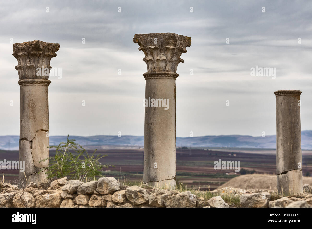 Le rovine romane di Volubilis, Marocco Foto Stock