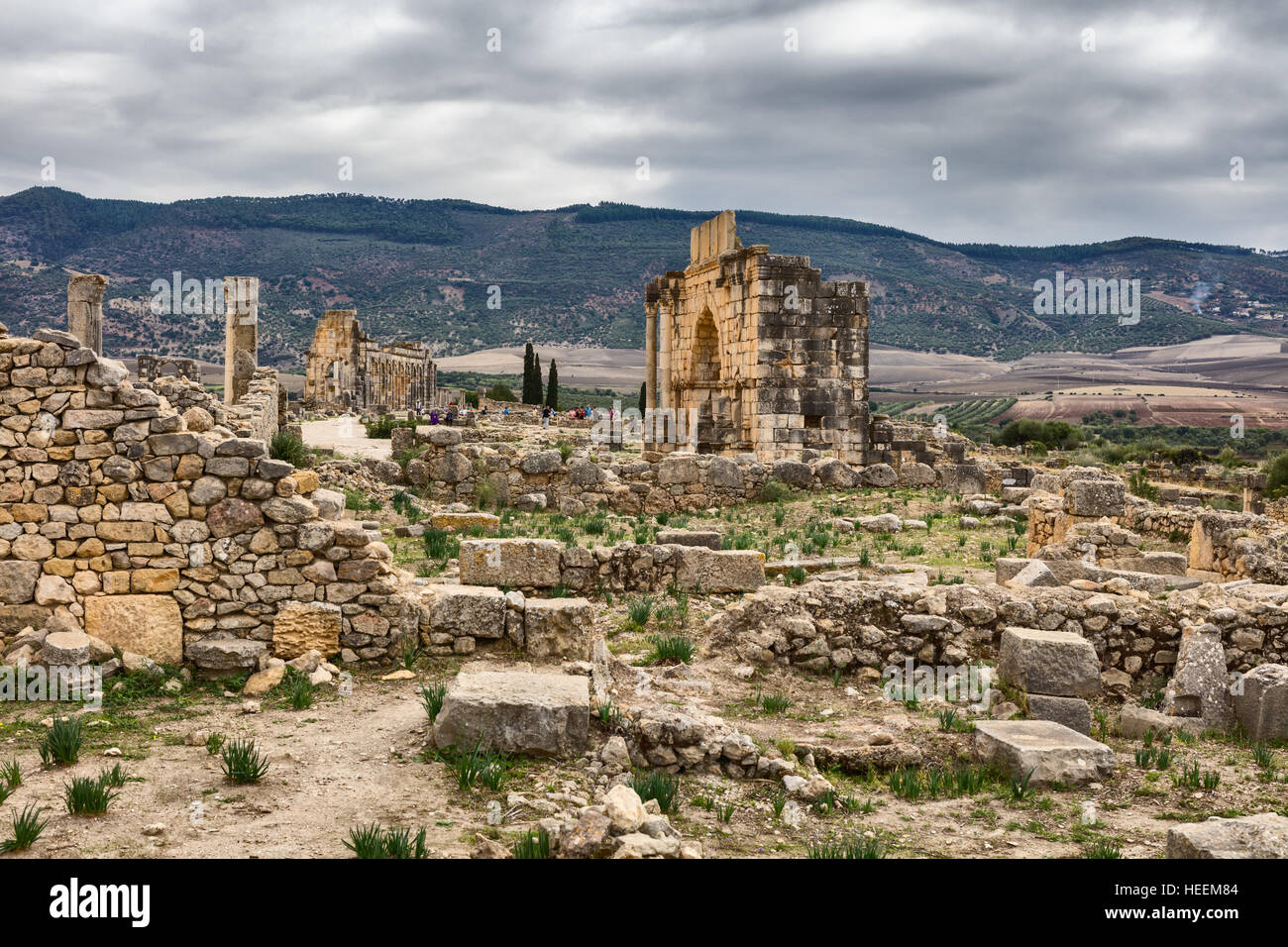 Le rovine romane di Volubilis, Marocco Foto Stock