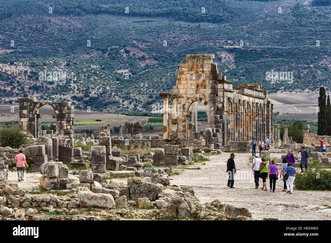 Basilica, le rovine Romane di Volubilis, Marocco Foto Stock