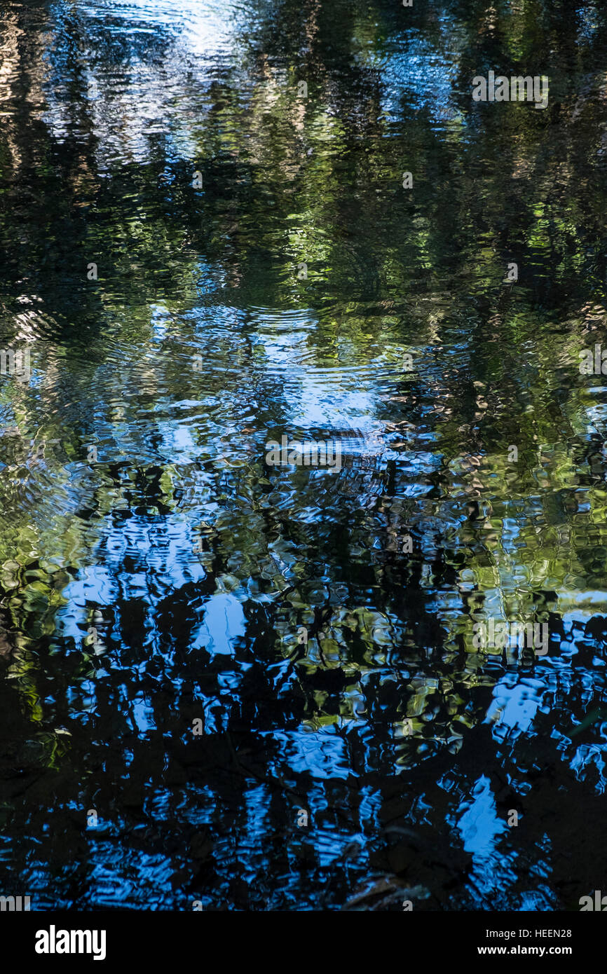 Abstract riflessioni sull acqua, cielo e fogliame verde e blu Foto Stock