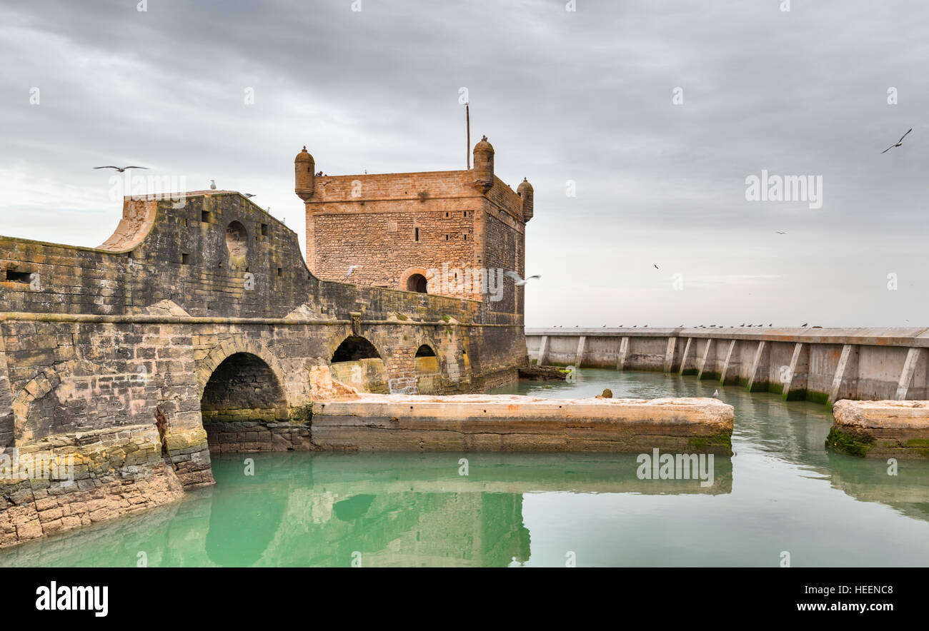 Porto, Essaouira, Marocco Foto Stock