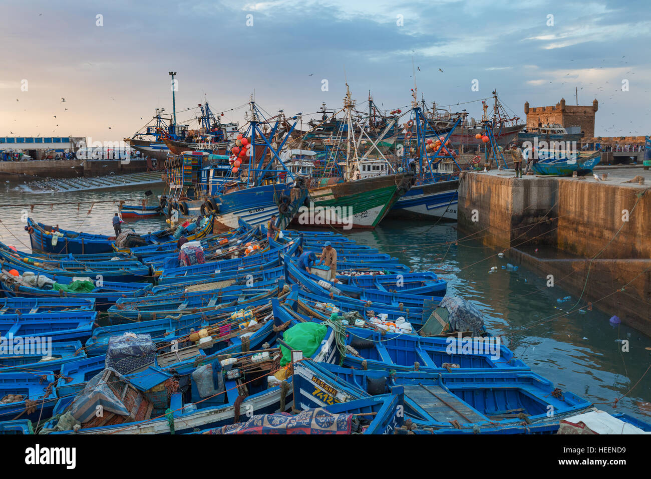 Porto, Essaouira, Marocco Foto Stock