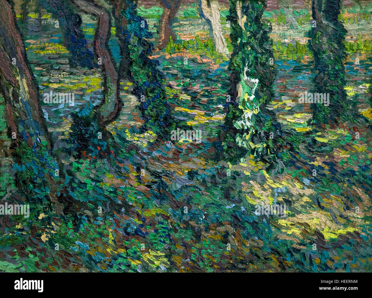 Tronchi di alberi di Edera di Vincent van Gogh, 1889, Kroller-Muller Museum, Hoge Veluwe National Park, Otterlo, Paesi Bassi, Europa Foto Stock