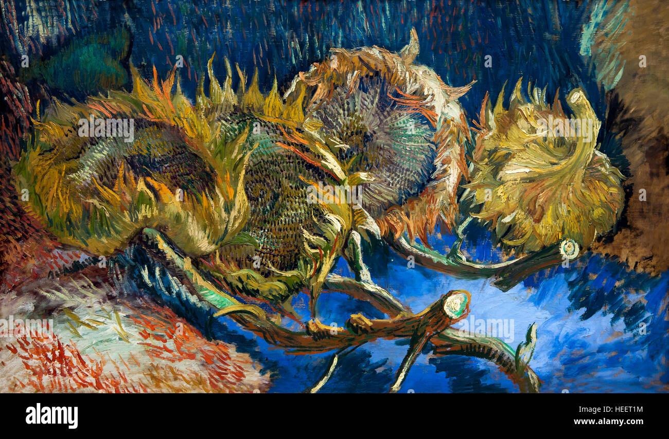 Quattro campi di girasoli andato alle sementi di Vincent van Gogh, 1887, Kroller-Muller Museum, Hoge Veluwe National Park, Otterlo, Paesi Bassi, Europa Foto Stock