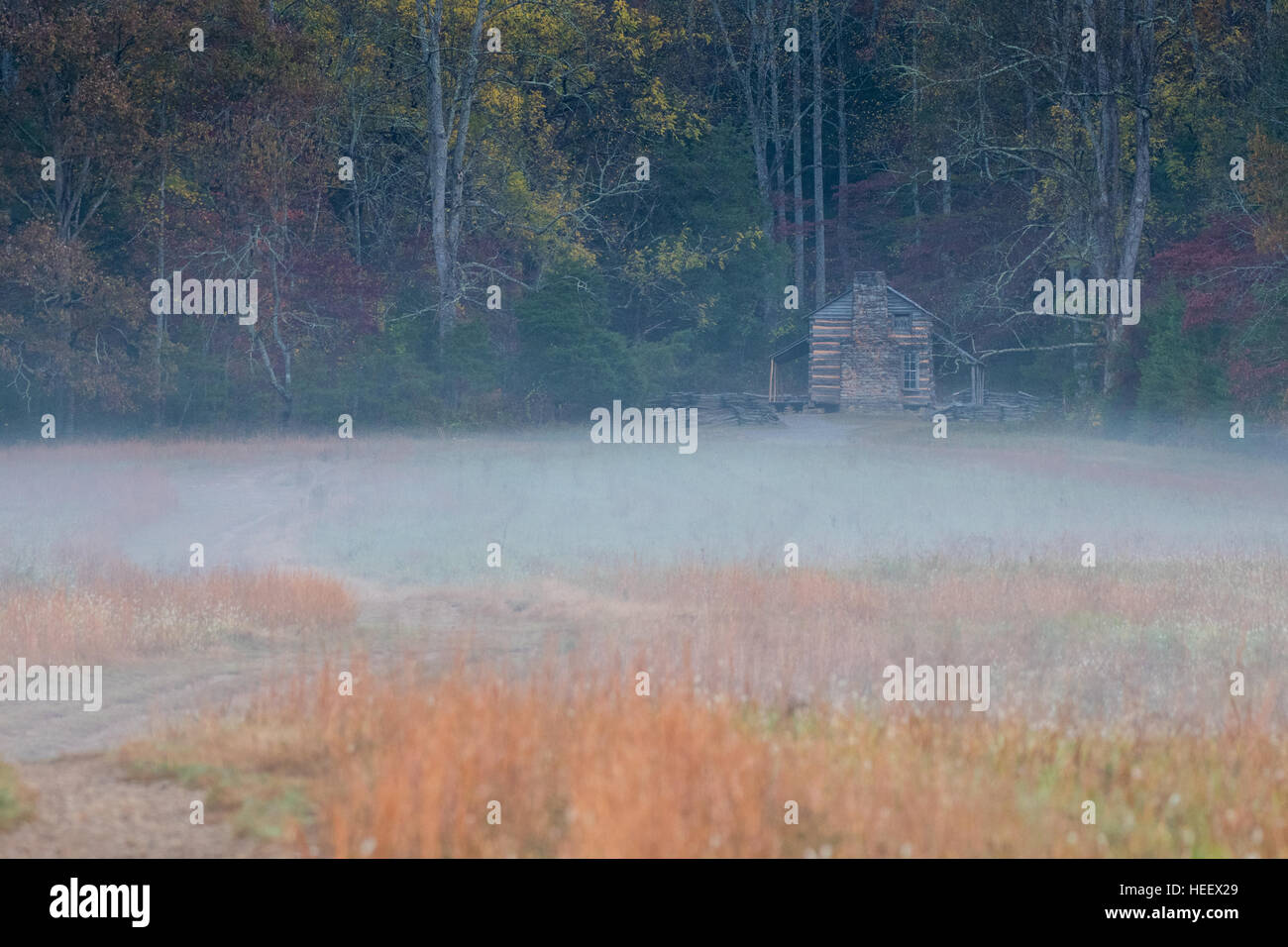 Log Cabin nella nebbia mattutina attraverso brown field Foto Stock