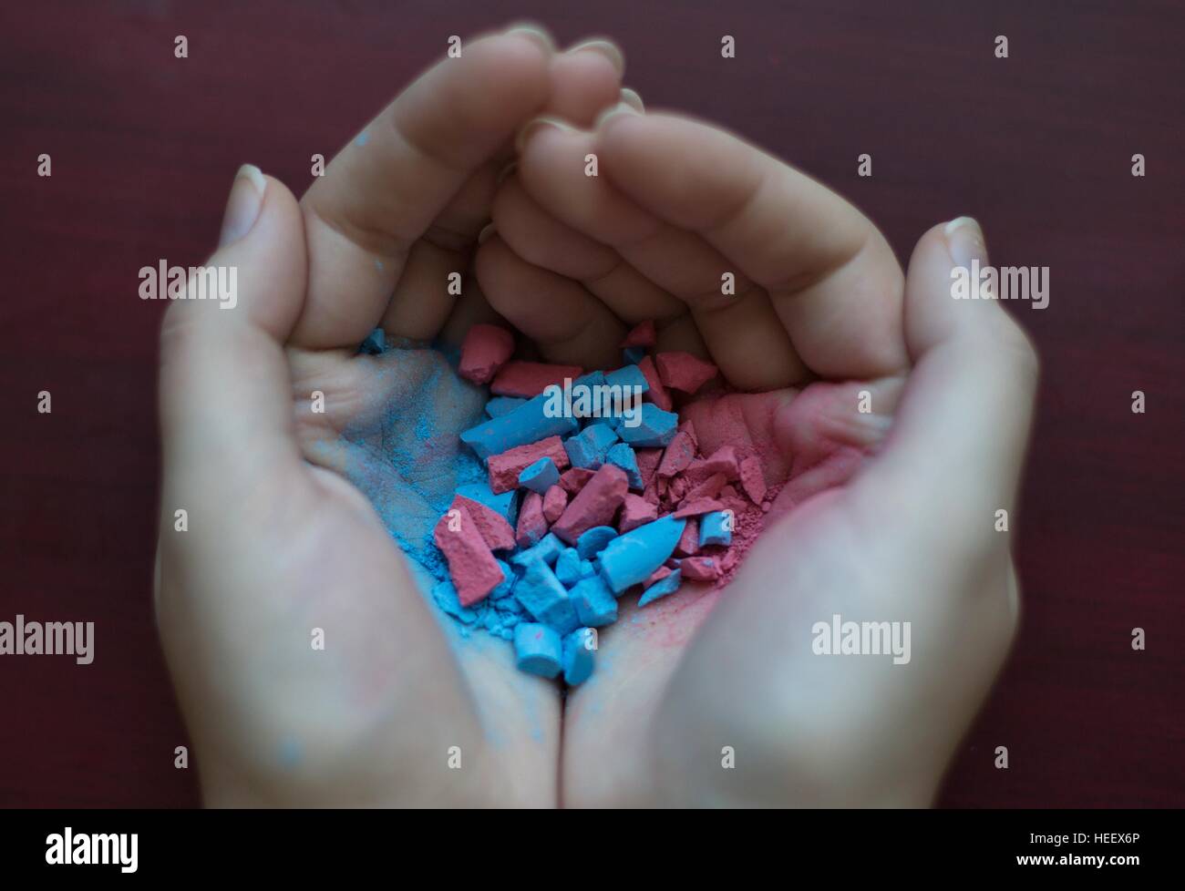 Mani a tazza tenendo entrambi i colori rosa e blu chalk, miscelati e sminuzzato insieme. Foto Stock