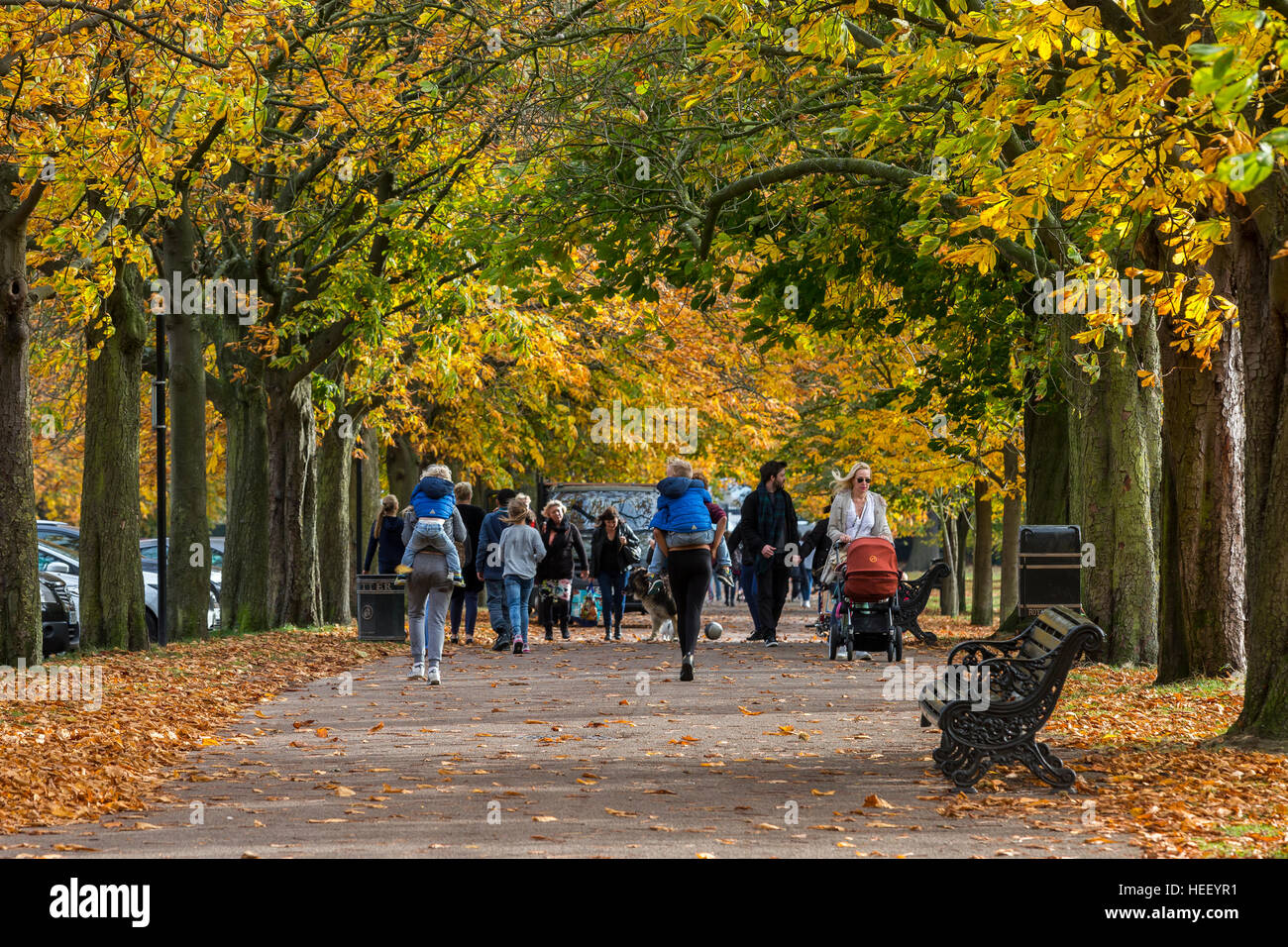 Colore di autunno nel parco di Greenwich, London, England, Regno Unito Foto Stock