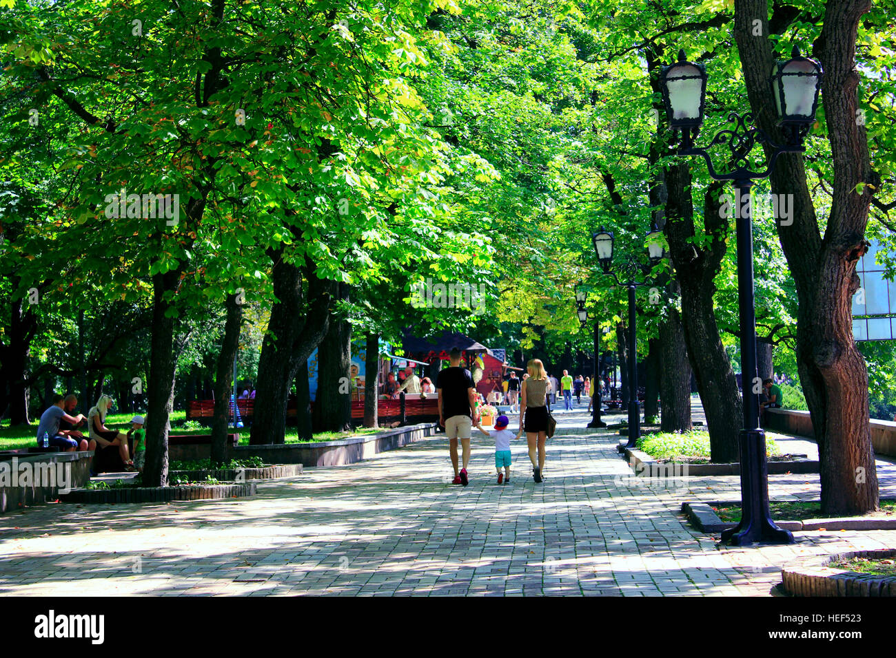 La gente a piedi sul largo sentiero nel parco con grandi alberi verdi Foto Stock