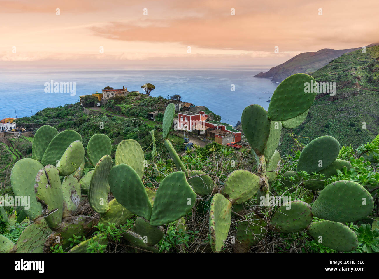 El Tablado, costa nord, tramonto, la Palma Isole Canarie Spagna Foto Stock