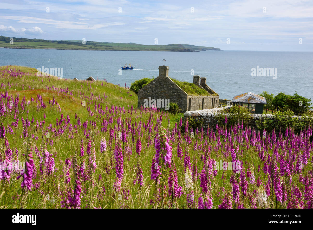 Vista da Ross Island, Solway Firth, vicino a Kirkcudbright Foto Stock