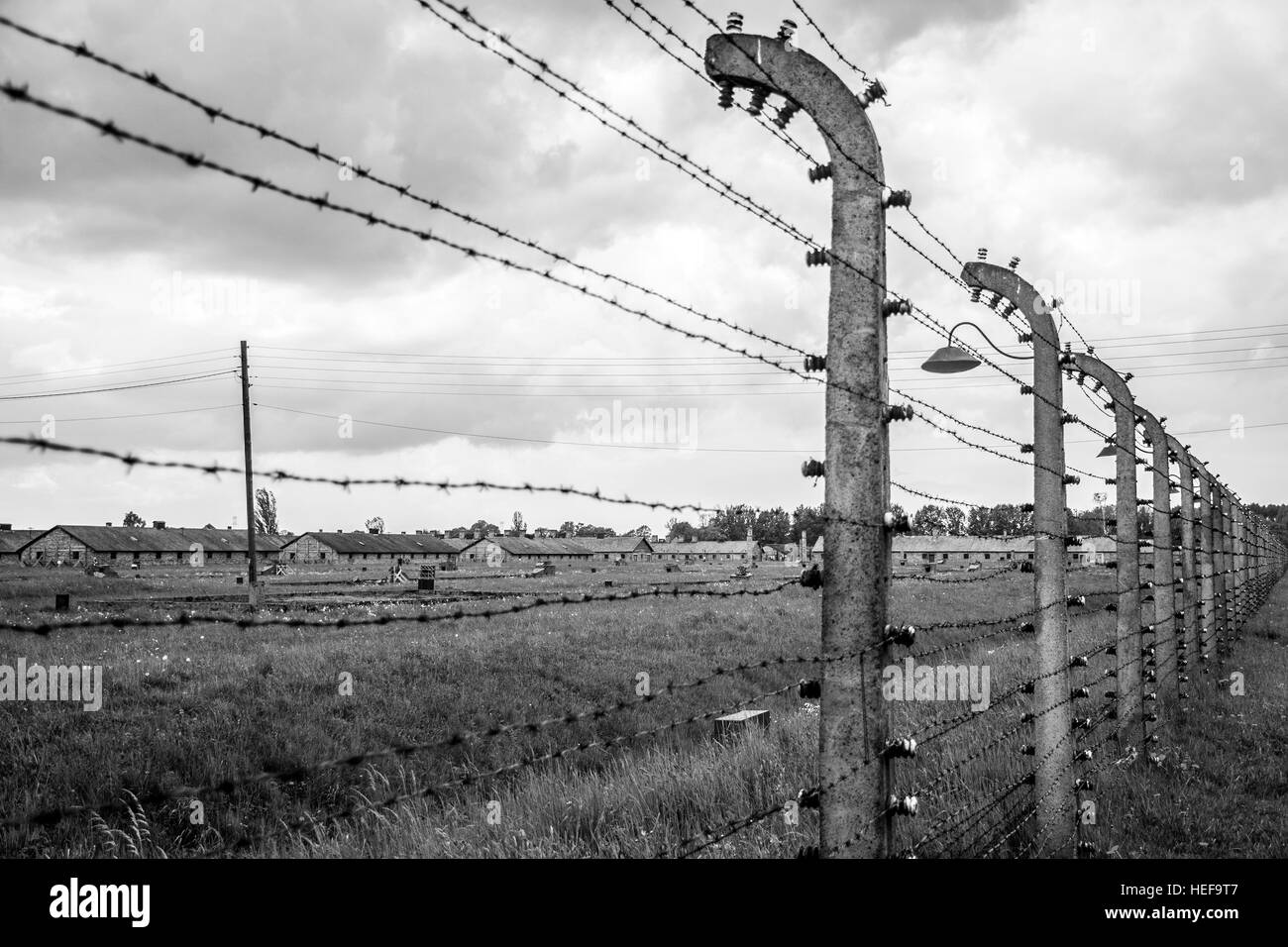 Filo spinato al campo di concentramento di Auschwitz Birkenau KZ Polonia 5  Foto stock - Alamy
