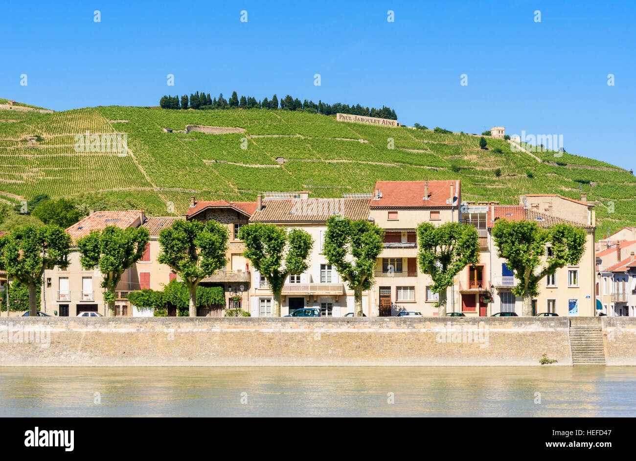 Vista della collina di Hermitage affacciato sulla riva sinistra del fiume Rodano presso la città di Tain-l'Hermitage, Drôme, Francia Foto Stock