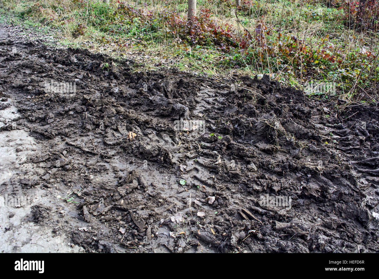 Via i pneumatici del trattore nel fango sull'asfalto. Foto Stock