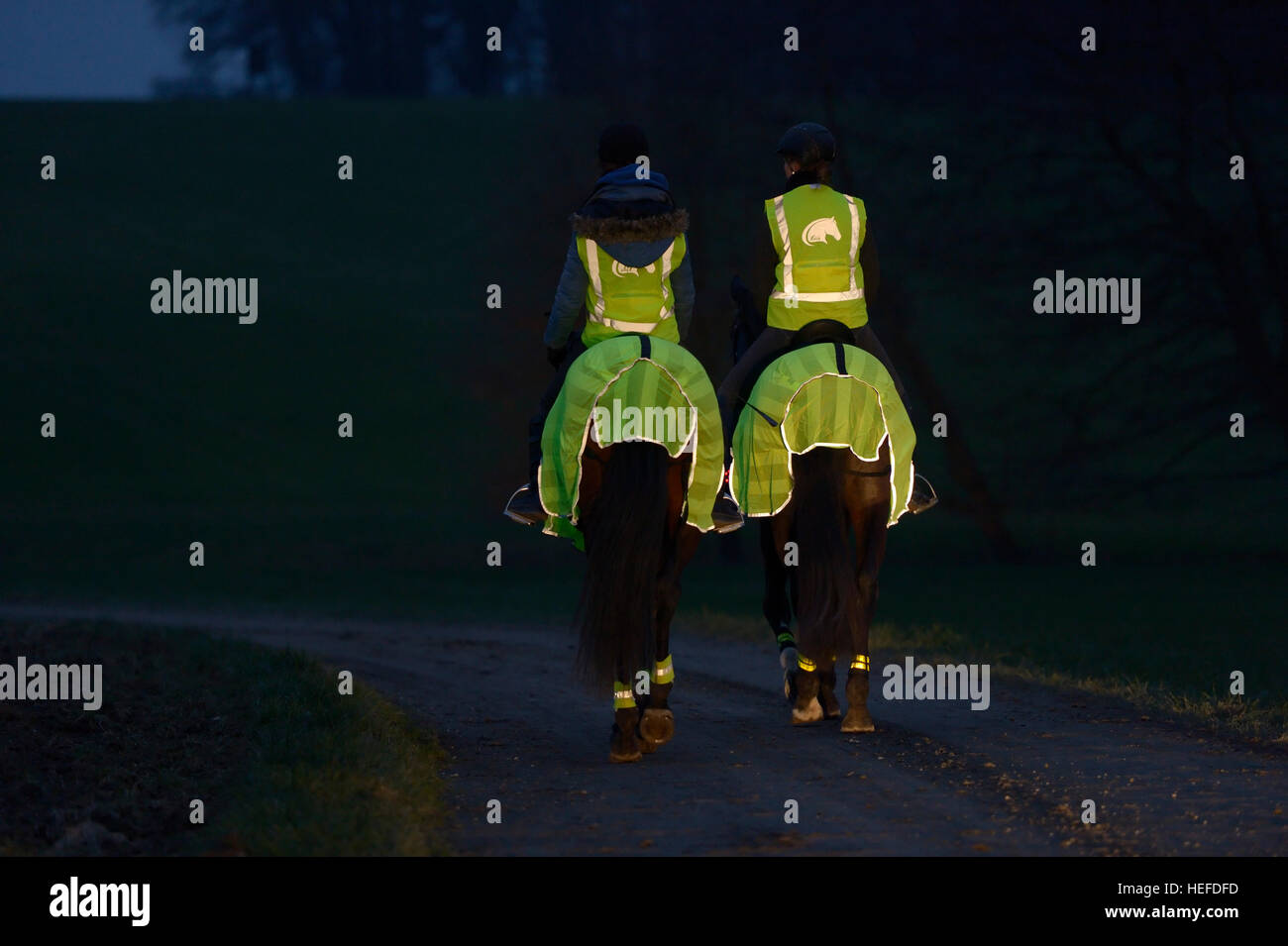 I due piloti a cavallo hacking nel crepuscolo, cavalieri e cavalli indossando abiti riflettenti Foto Stock
