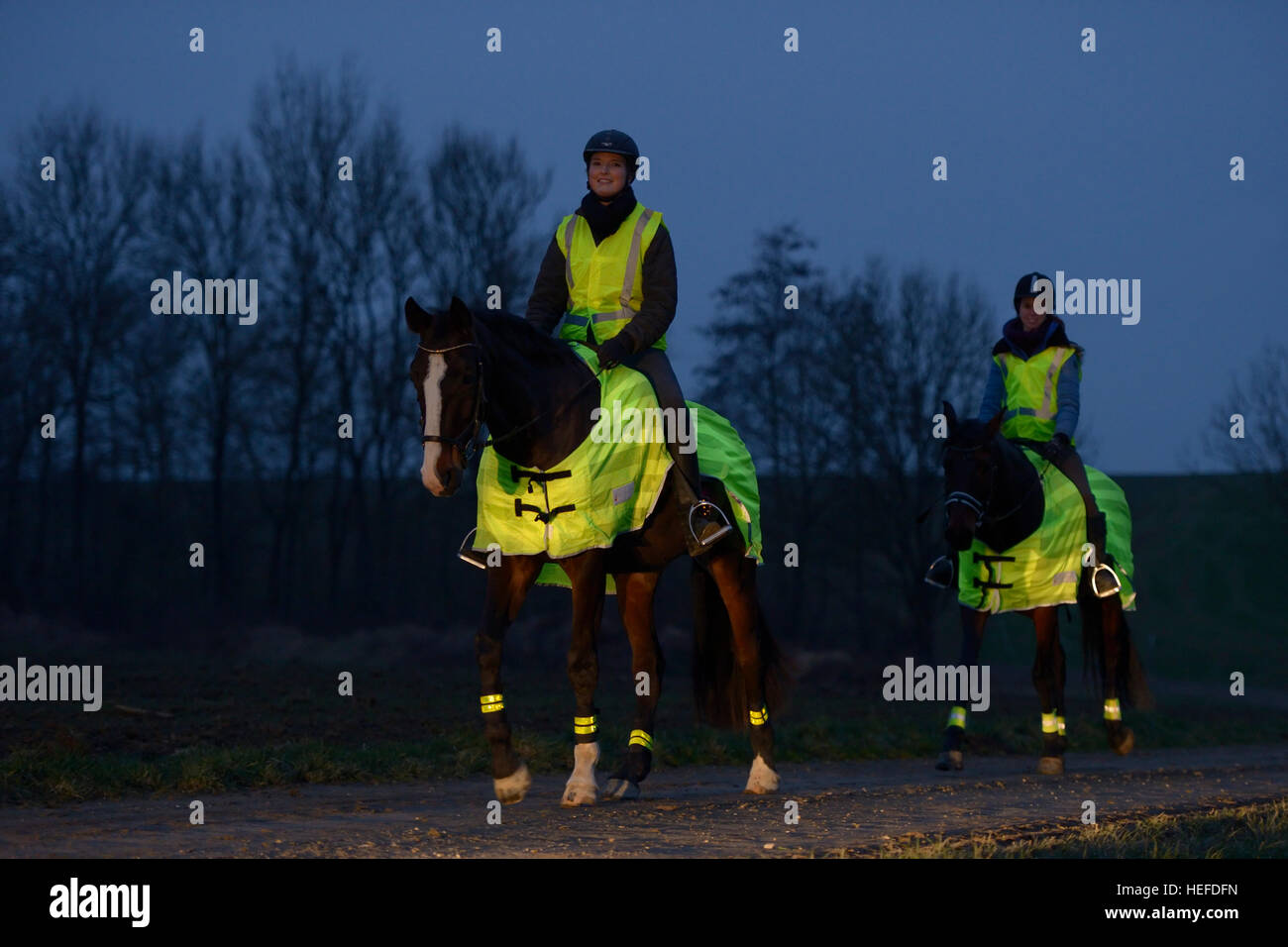 I due piloti a cavallo hacking nel crepuscolo, cavalieri e cavalli indossando abiti riflettenti Foto Stock