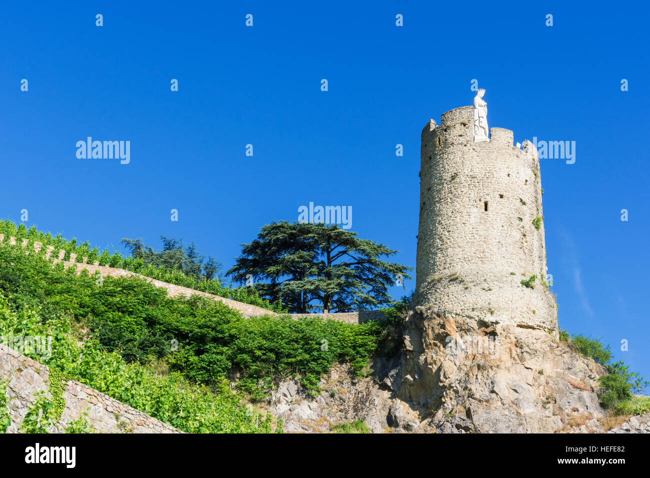 La torre di avvistamento cinquecentesca Tour de l Hôpital dominato da vigneti terrazzati sopra Tournon-sur-Rhône, Ardèche, Francia Foto Stock