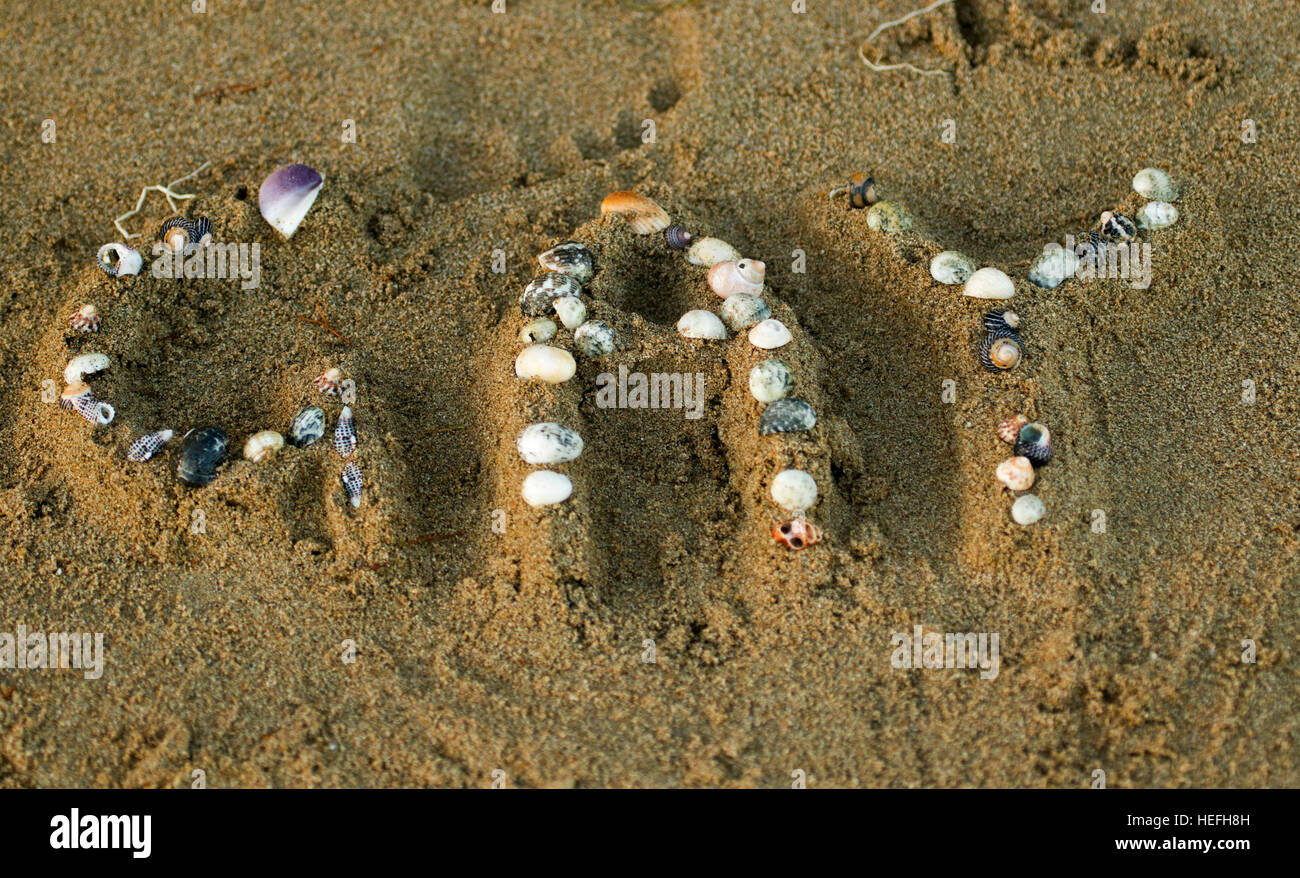 Segno insolito, la parola "gay" enunciato sulla spiaggia utilizzando rilievi di sabbia decorati con conchiglie Foto Stock