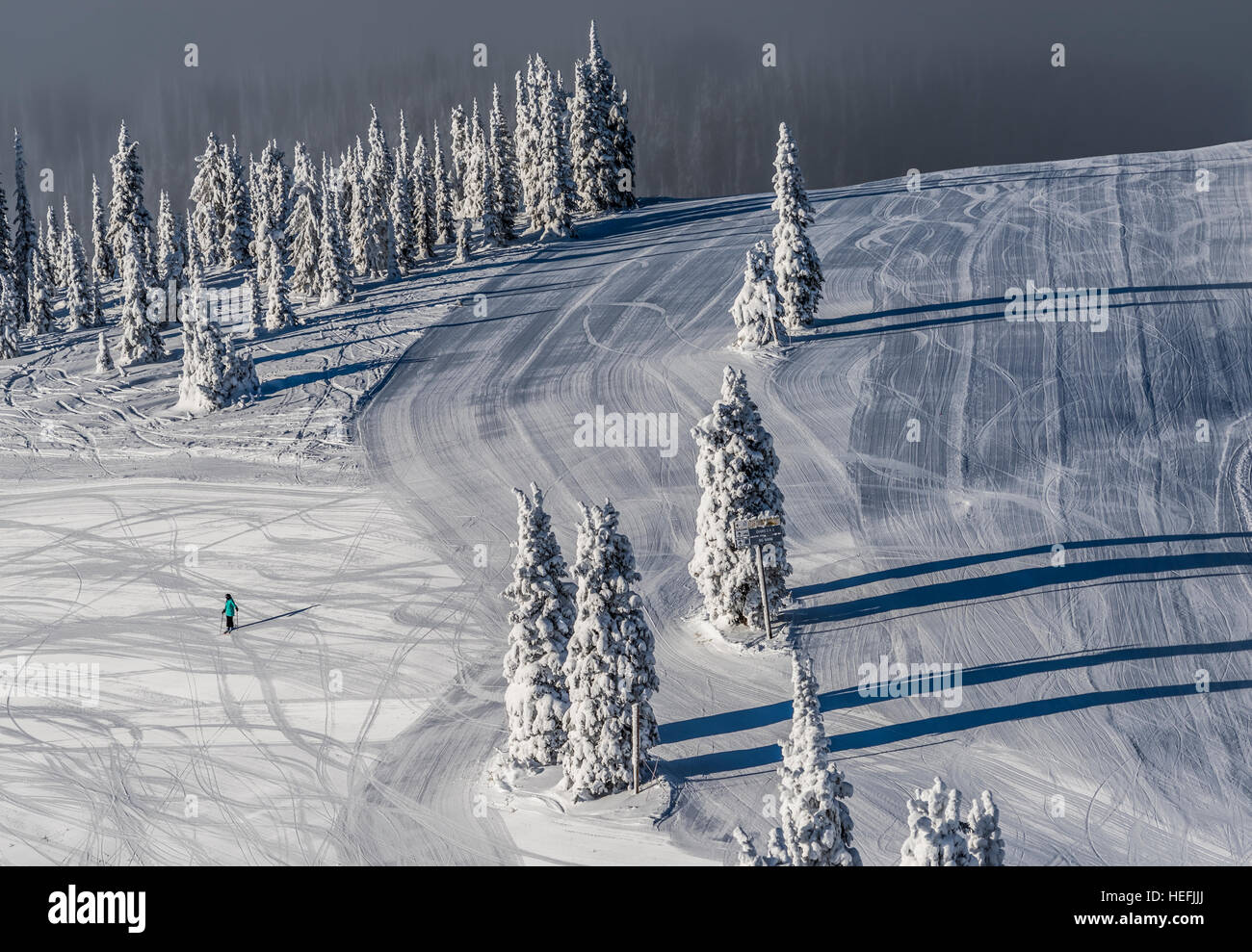 Buon contrasto su ski run intersezione con neve alberi fantasma e una solitaria sciatore al Whitefish Mountain Resort in Montana Foto Stock