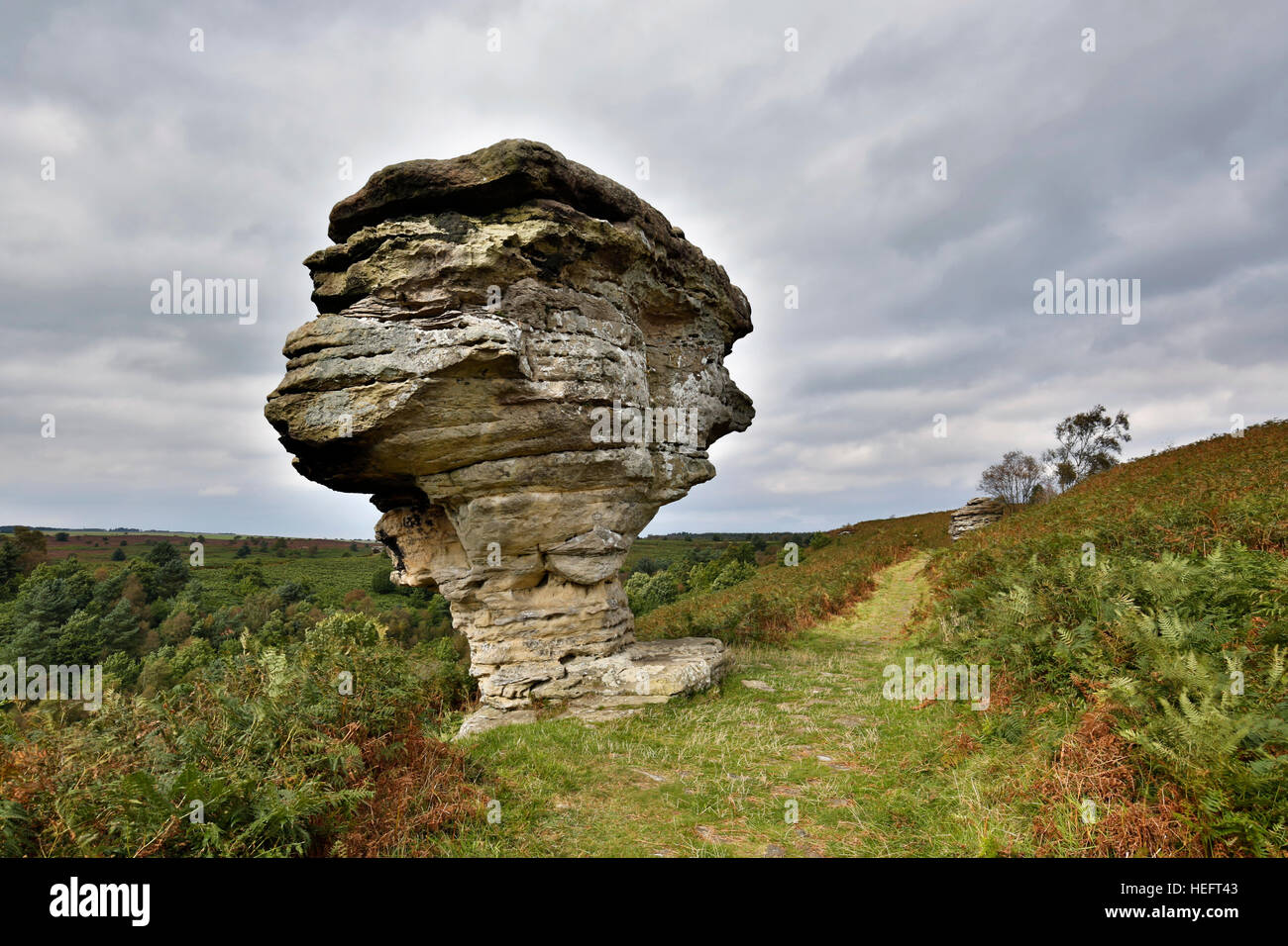 Bridestones; Dalby; North Yorkshire Moors; Regno Unito Foto Stock