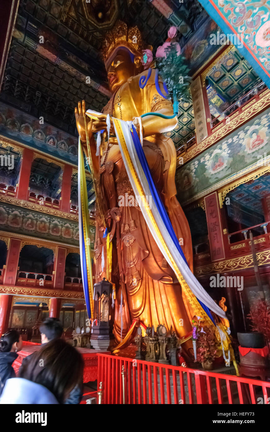 Pechino: Tempio Lama; Hall dell'Infinito Fortune (Wanfuge) con un misuratore 18 alta statua del Buddha Maitreya scolpita da un unico albero di legno di sandalo, Foto Stock