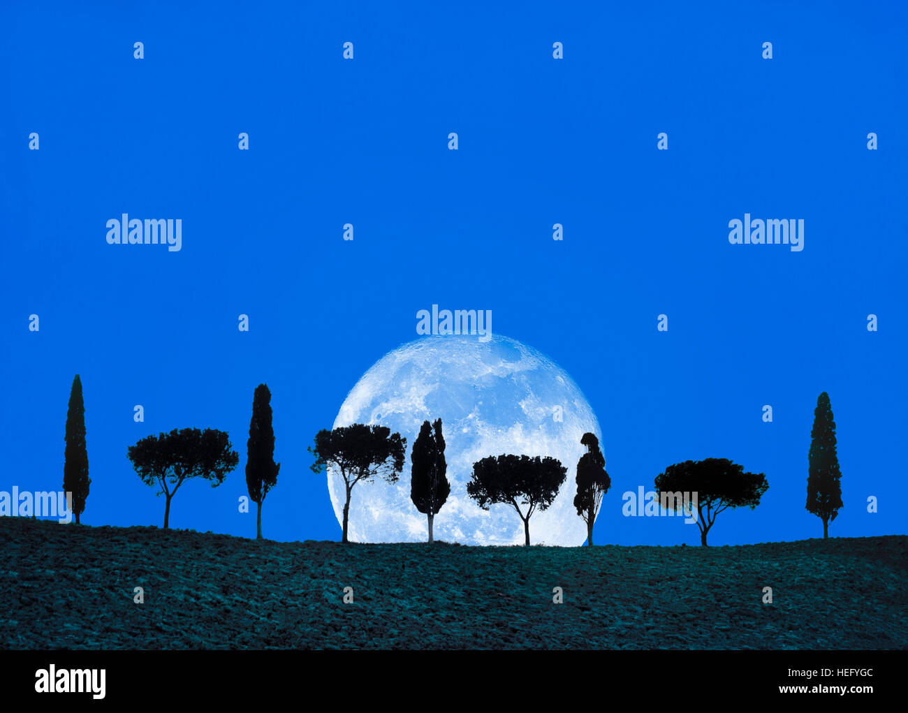 L'Italia, Toscana, pini e cipressi con la luna piena Foto Stock