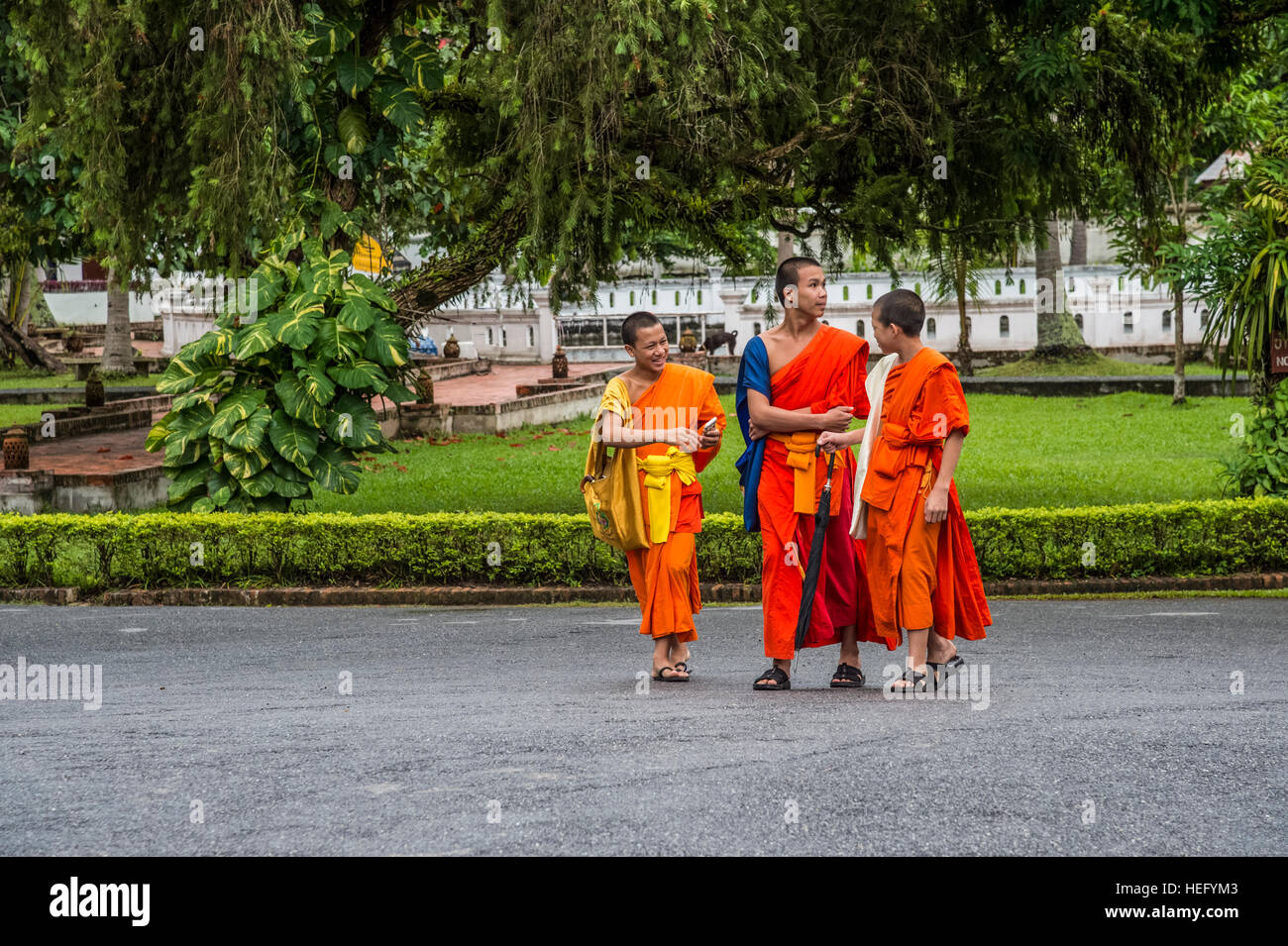 Luang Prabang City giovani monaci nel terreno del Royal Palace Foto Stock