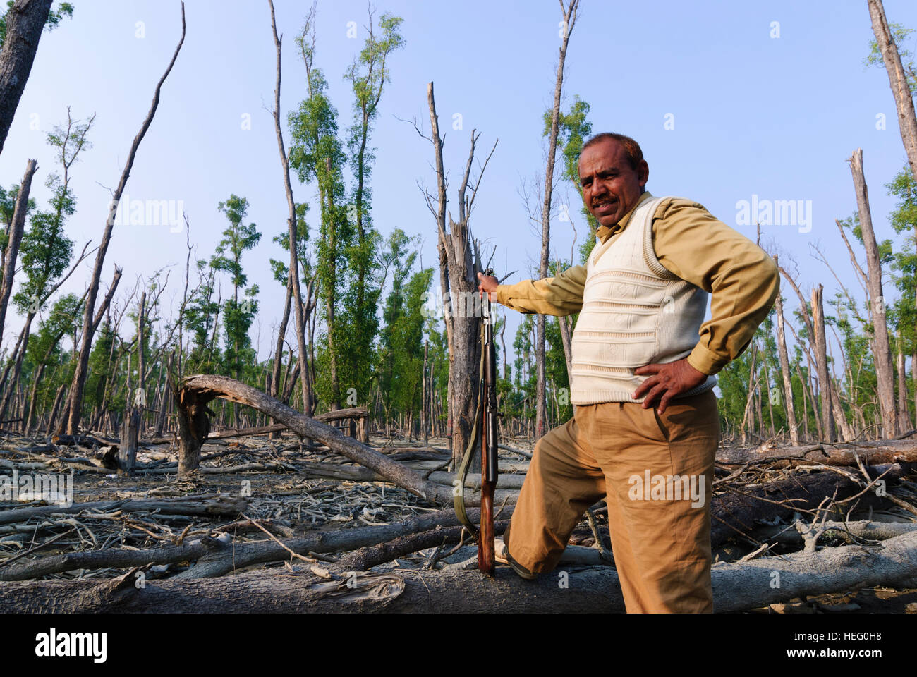 Parco Nazionale della Sundarbans: Ranger del Parco con alberi di Sundar schiacciata dalla Zyklon Sidr 2007, Khulna Division, Bangladesh Foto Stock