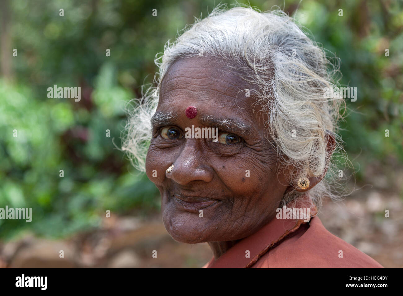 Il vecchio donna indigena, raccoglitrice di tè, vicino a Nuwara Eliya, provincia centrale, Sri Lanka Foto Stock