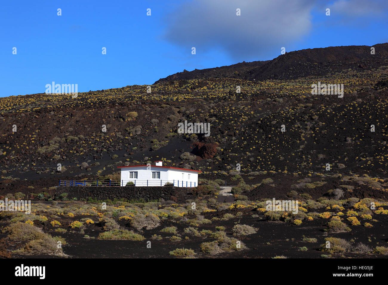La Palma, Kanarische Insel, Haus in der Vulkanlandschaft bluehenden an der Punta de Fuencaliente, der Suedspitze der Insel Foto Stock