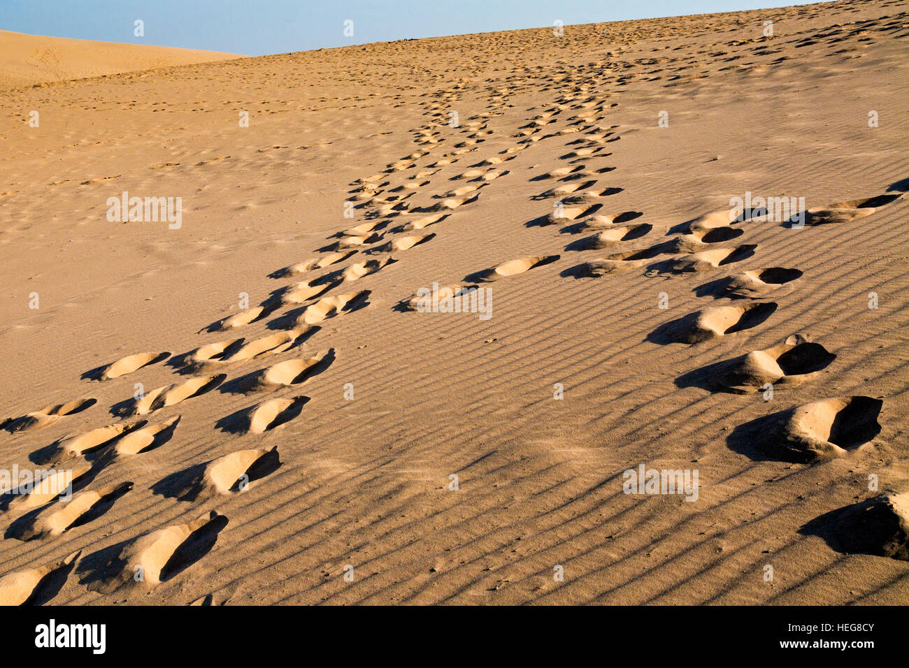 Orme nelle dune di sabbia al lago, Shizuishan, Ningxia, Cina Foto Stock