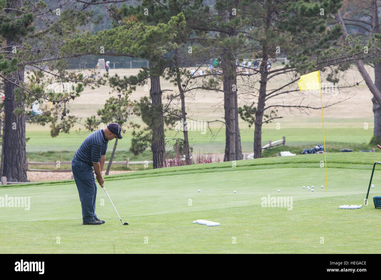 Spiaggia ghiaiosa del campo da Golf Links National Highway 1, Pacific Coast Highway,PCH, California, U.S.A.,Stati Uniti d'America, Foto Stock