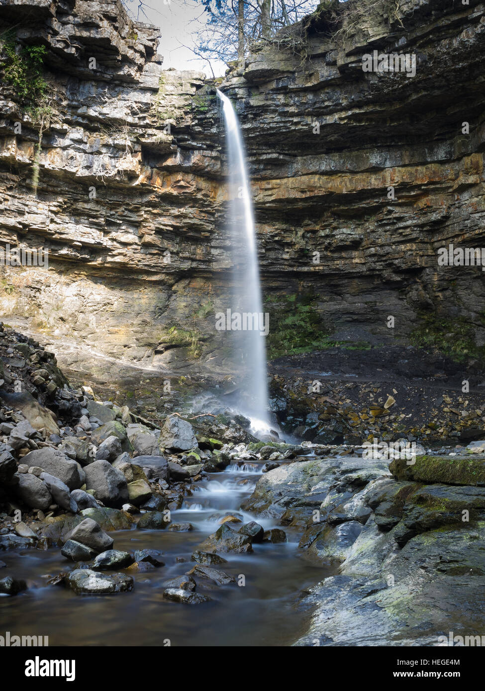 Forza Hardraw è una cascata sul Hardraw Beck nella cicatrice Hardraw, un burrone boscoso appena al di fuori della frazione di Hardraw, vicino alla città di Hawes, Wensleyd Foto Stock