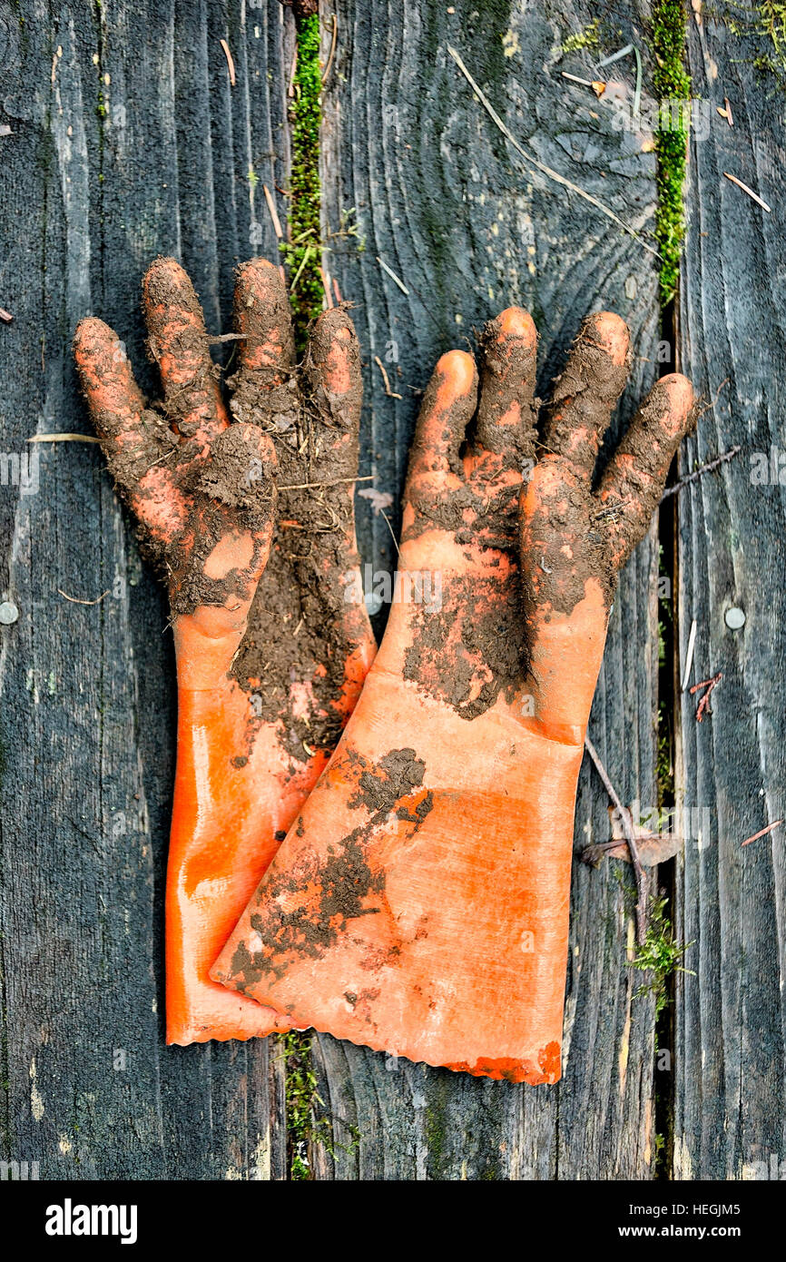 Guanti da giardinaggio dopo il lavoro Foto Stock