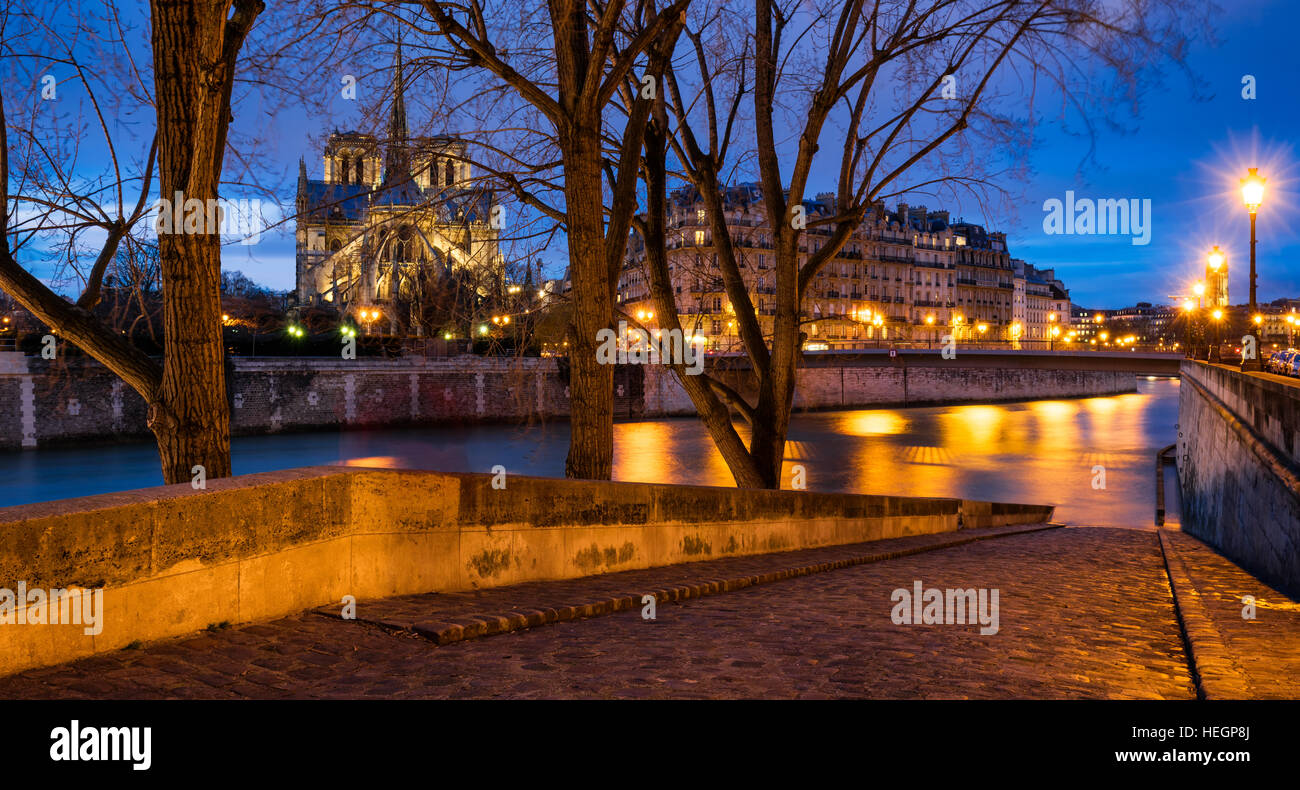 Twilight su Notre Dame de Paris cathedral e rive del Fiume Senna da Ile Saint Louis. 4° Arrondissement, Parigi, Francia Foto Stock